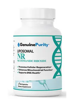 Nicotinamide Riboside (NR)