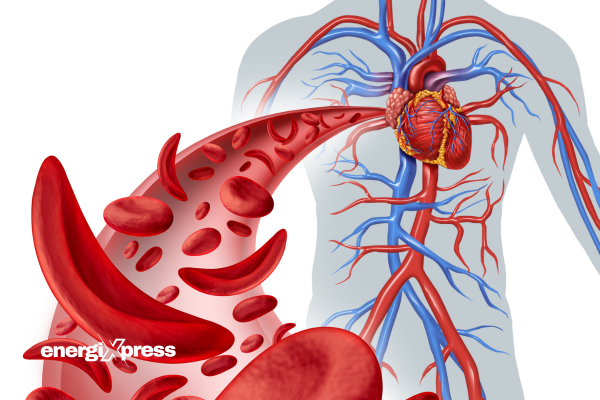 nitric oxide blood flow diagram