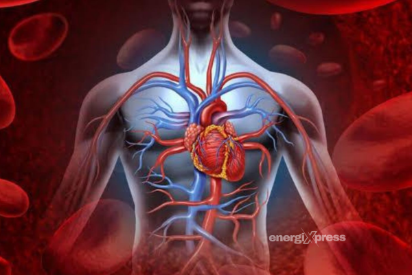 healthy blood circulation