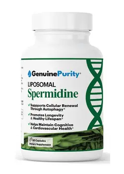 Spermidine